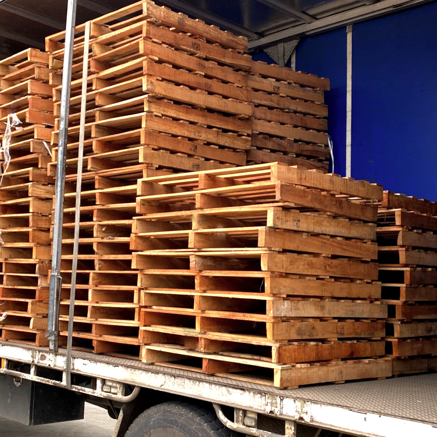 Export Pallet